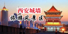 黄色一级大鸡巴中国陕西-西安城墙旅游风景区